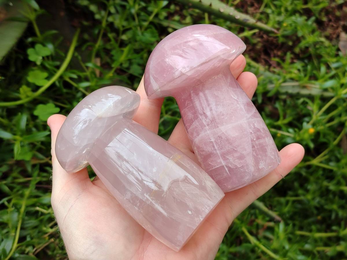 Polished Rose Quartz Mushrooms x 3 From Madagascar - Toprock Gemstones and Minerals 