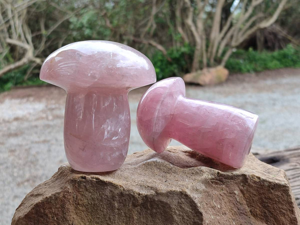 Polished Rose Quartz Mushrooms x 3 From Madagascar - Toprock Gemstones and Minerals 