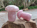 Polished Rose Quartz Mushrooms x 3 From Madagascar - Toprock Gemstones and Minerals 