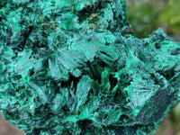 Natural Silky Malachite Specimen x 1 From Kasompe, Congo