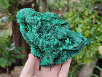 Natural Silky Malachite Specimen x 1 From Kasompe, Congo