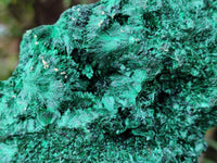 Natural Silky Malachite Specimen x 1 From Kasompe, Congo