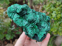 Natural Silky Malachite Specimen x 1 From Kasompe, Congo