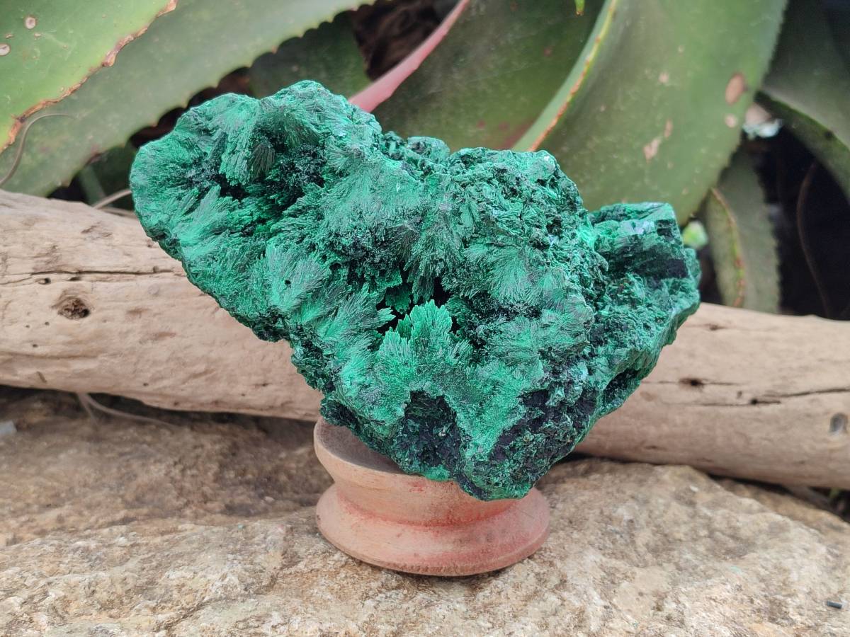 Natural Silky Malachite Specimen x 1 From Kasompe, Congo - Toprock Gemstones and Minerals 