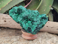 Natural Silky Malachite Specimen x 1 From Kasompe, Congo