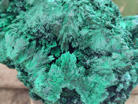 Natural Silky Malachite Specimen x 1 From Kasompe, Congo