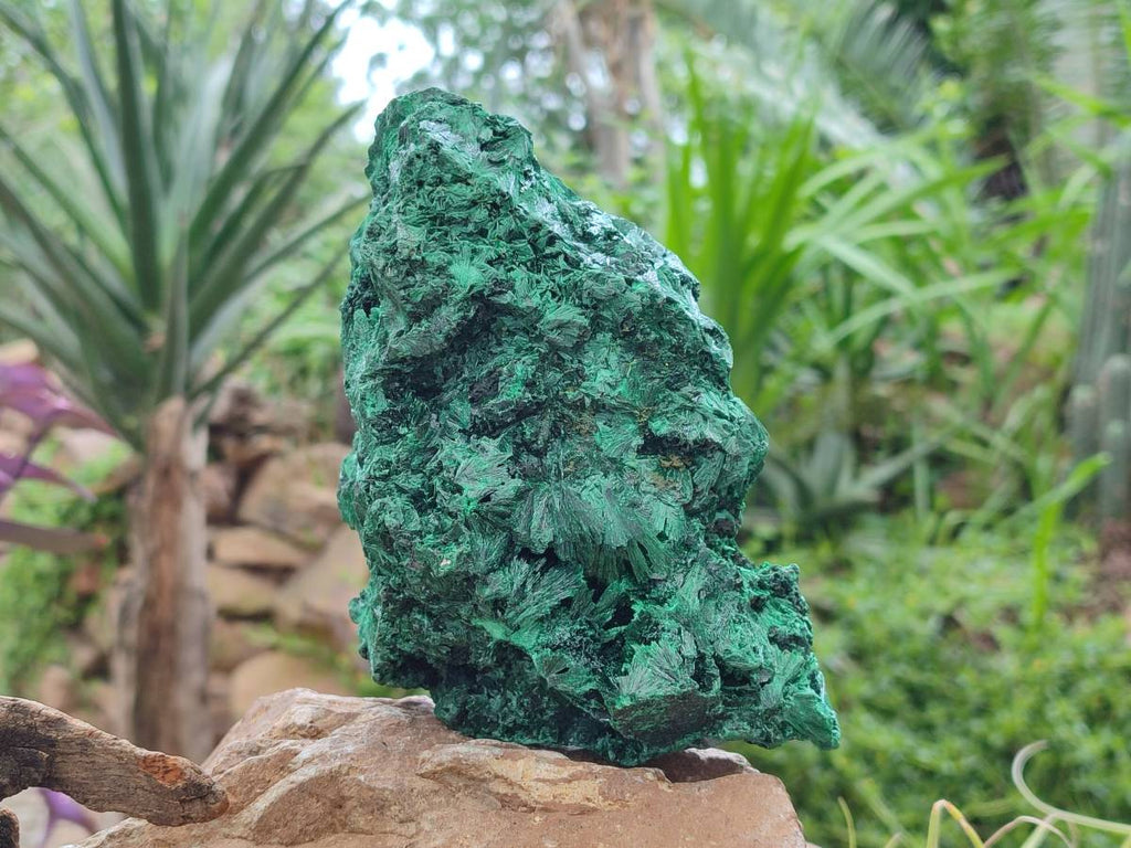 Natural Silky Malachite Specimen x 1 From Kasompe, Congo - Toprock Gemstones and Minerals 