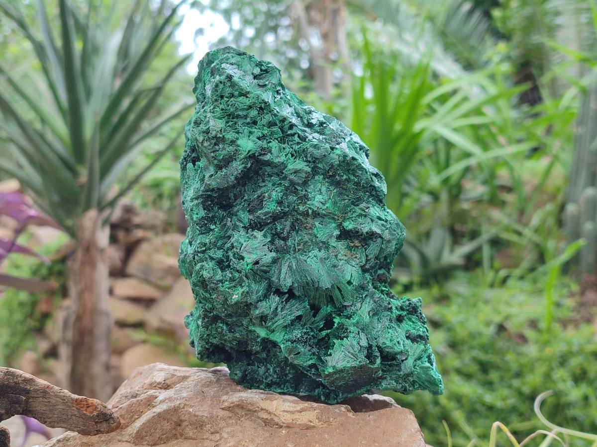 Natural Silky Malachite Specimen x 1 From Kasompe, Congo - Toprock Gemstones and Minerals 