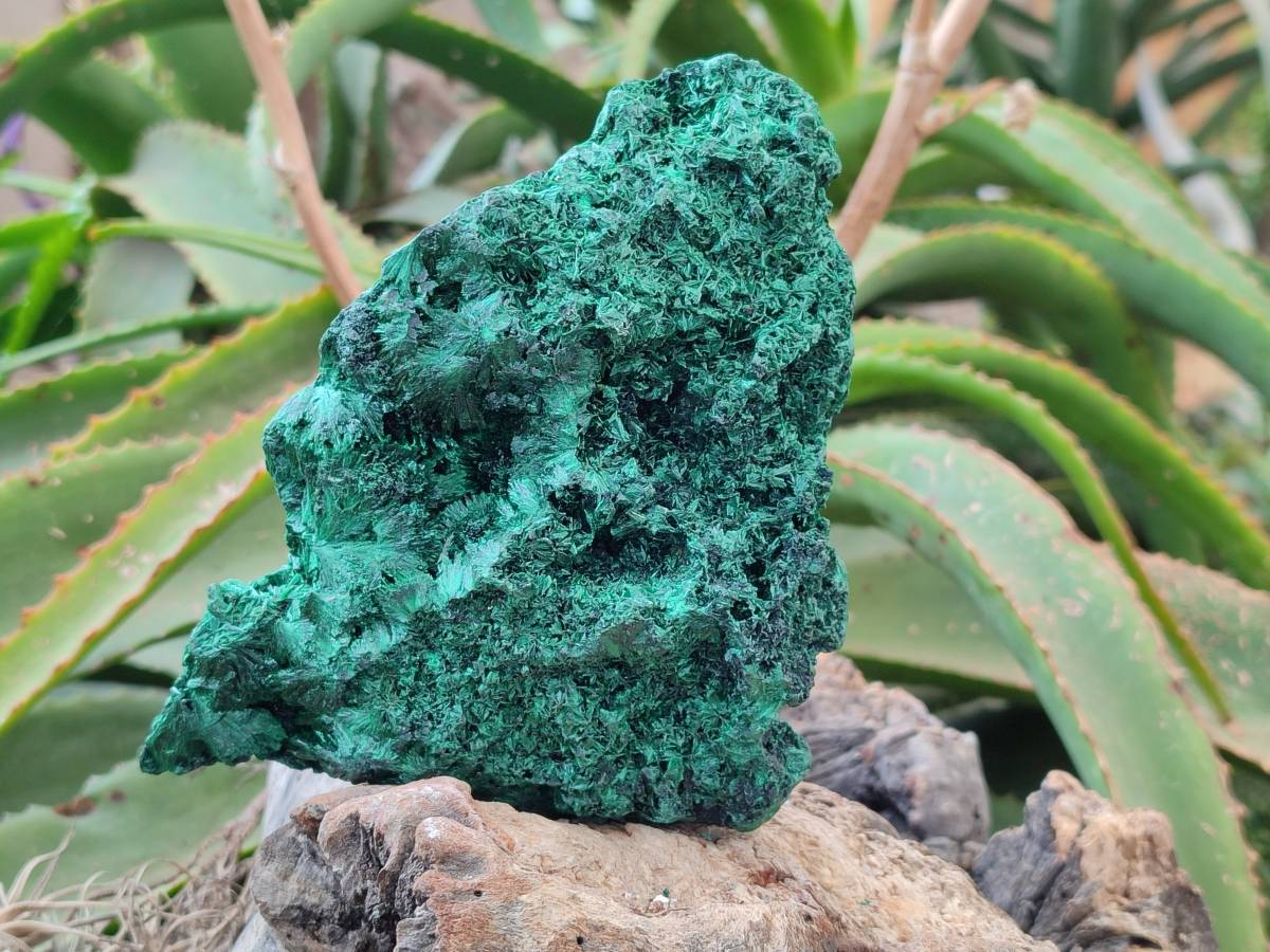 Natural Silky Malachite Specimen x 1 From Kasompe, Congo - Toprock Gemstones and Minerals 