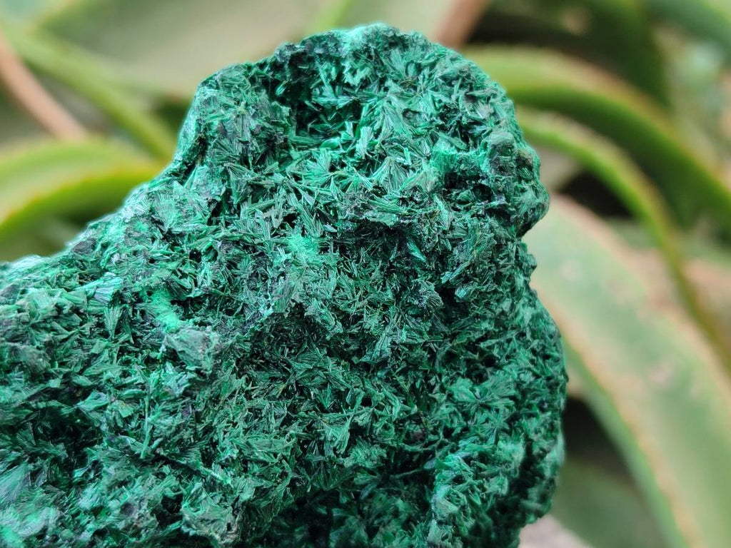 Natural Silky Malachite Specimen x 1 From Kasompe, Congo - Toprock Gemstones and Minerals 