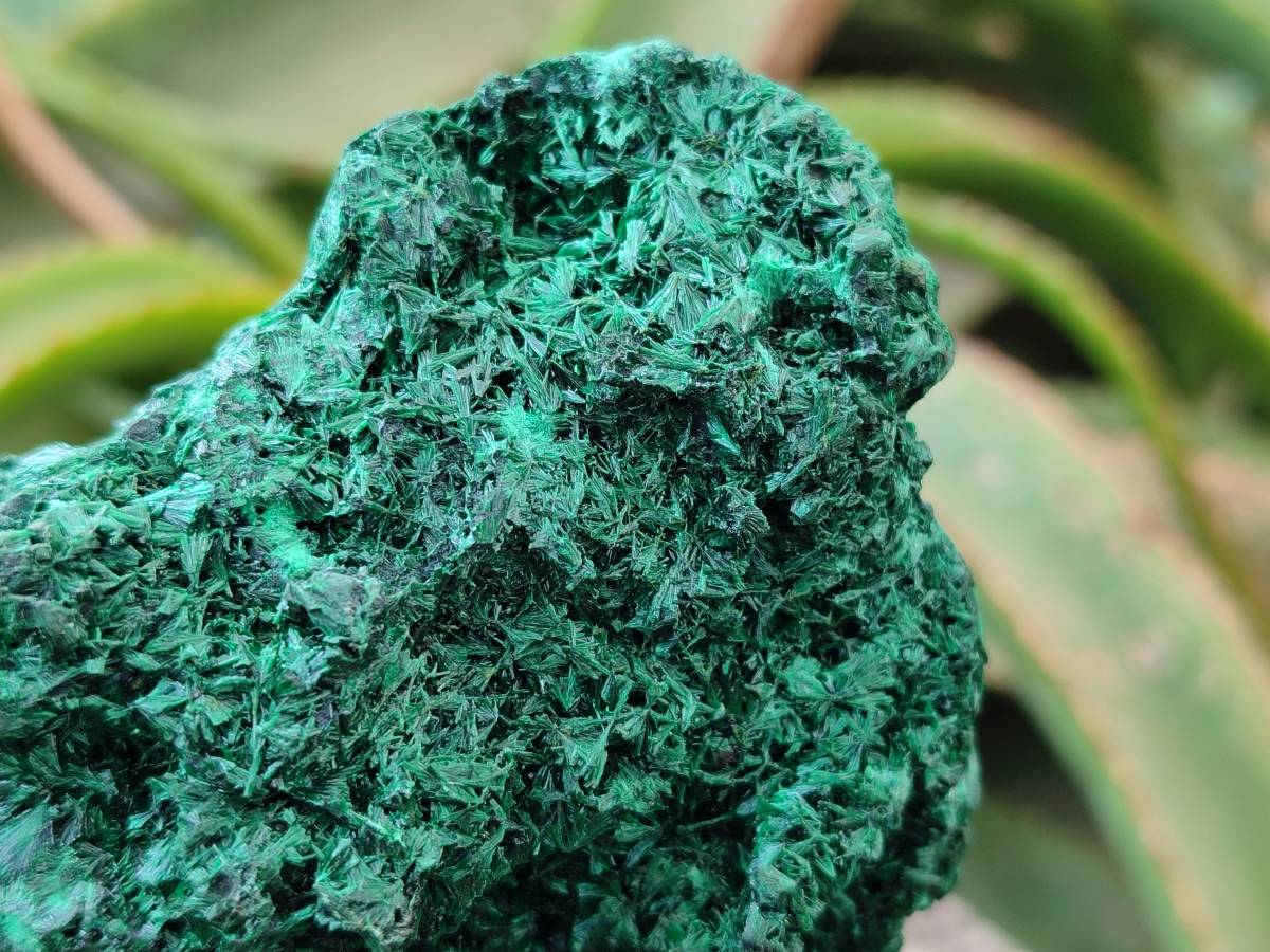 Natural Silky Malachite Specimen x 1 From Kasompe, Congo - Toprock Gemstones and Minerals 