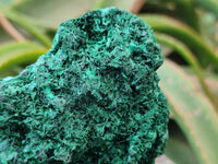 Natural Silky Malachite Specimen x 1 From Kasompe, Congo