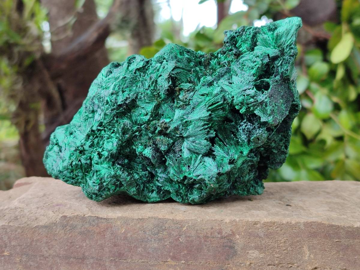 Natural Silky Malachite Specimen x 1 From Kasompe, Congo - Toprock Gemstones and Minerals 