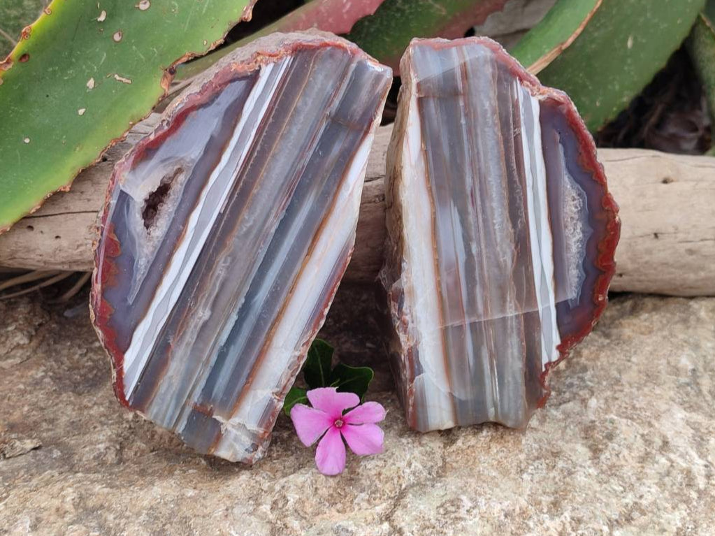 Polished On One Side Red Sashe River Agate Nodules x 2 From Sashe River, Zimbabwe - Toprock Gemstones and Minerals 