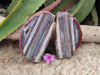 Polished On One Side Red Sashe River Agate Nodules x 2 From Sashe River, Zimbabwe