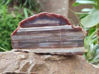 Polished On One Side Red Sashe River Agate Nodules x 2 From Sashe River, Zimbabwe