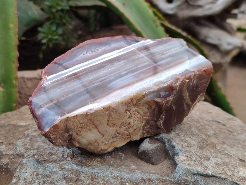 Polished On One Side Red Sashe River Agate Nodules x 2 From Sashe River, Zimbabwe - Toprock Gemstones and Minerals 
