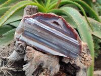 Polished On One Side Red Sashe River Agate Nodules x 2 From Sashe River, Zimbabwe