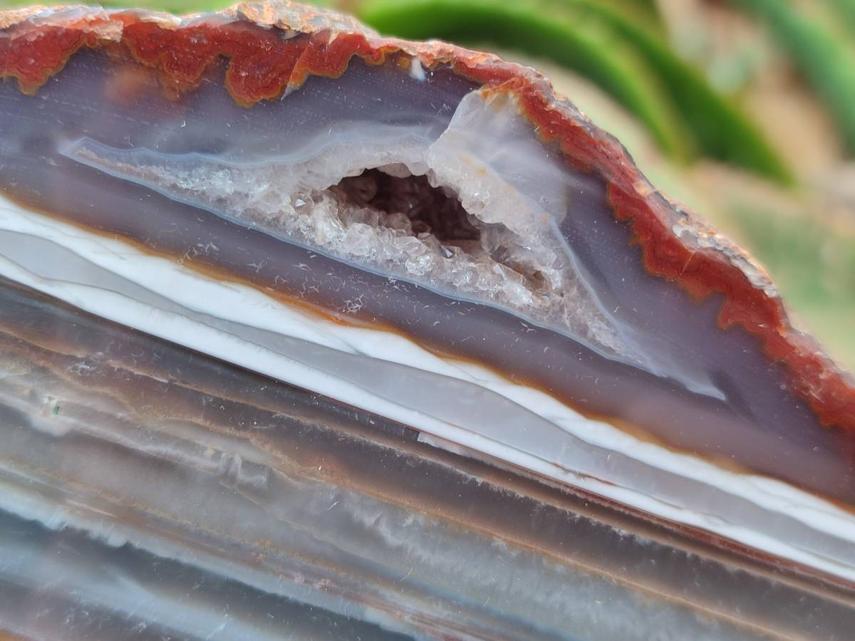 Polished On One Side Red Sashe River Agate Nodules x 2 From Sashe River, Zimbabwe - Toprock Gemstones and Minerals 