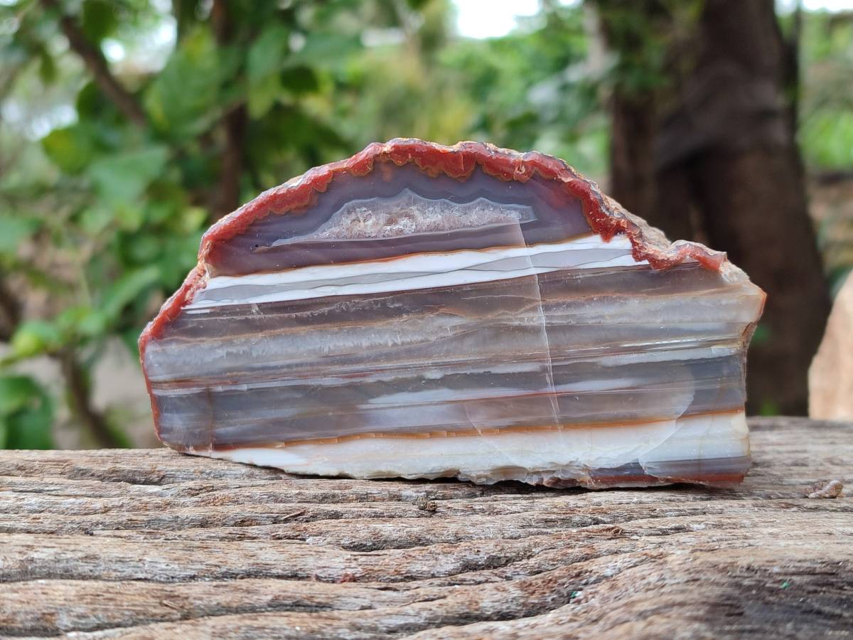 Polished On One Side Red Sashe River Agate Nodules x 2 From Sashe River, Zimbabwe - Toprock Gemstones and Minerals 