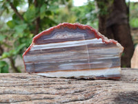 Polished On One Side Red Sashe River Agate Nodules x 2 From Sashe River, Zimbabwe