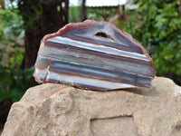 Polished On One Side Red Sashe River Agate Nodules x 2 From Sashe River, Zimbabwe