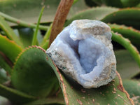 Natural Blue Lace Agate Geode Specimens x 20 From Nsanje, Malawi