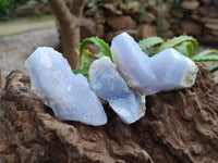 Natural Blue Lace Agate Geode Specimens x 20 From Nsanje, Malawi