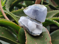 Natural Blue Lace Agate Geode Specimens x 20 From Nsanje, Malawi