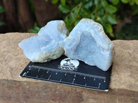 Natural Blue Lace Agate Geode Specimens x 20 From Nsanje, Malawi