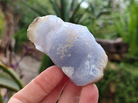 Natural Blue Lace Agate Geode Specimens x 20 From Nsanje, Malawi