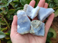 Natural Blue Lace Agate Geode Specimens x 20 From Nsanje, Malawi