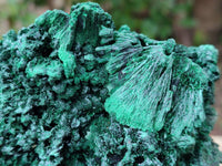 Natural Silky Malachite Specimens x 3 From Kasompe, Congo