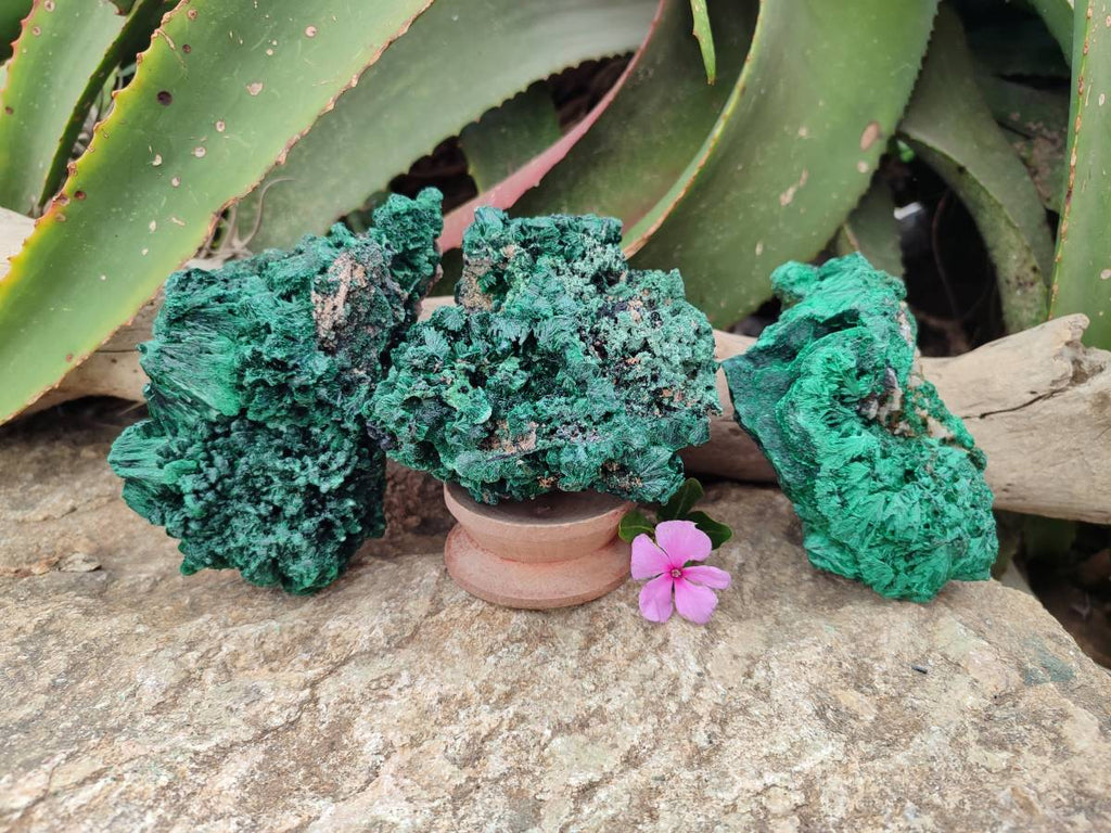 Natural Silky Malachite Specimens x 3 From Kasompe, Congo - Toprock Gemstones and Minerals 