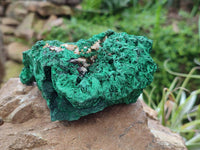 Natural Silky Malachite Specimens x 3 From Kasompe, Congo