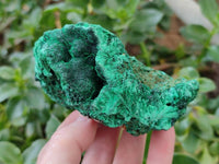 Natural Silky Malachite Specimens x 3 From Kasompe, Congo