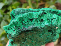 Natural Silky Malachite Specimens x 3 From Kasompe, Congo