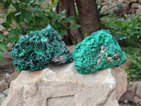 Natural Silky Malachite Specimens x 3 From Kasompe, Congo