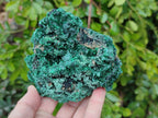 Natural Silky Malachite Specimens x 3 From Kasompe, Congo - Toprock Gemstones and Minerals 