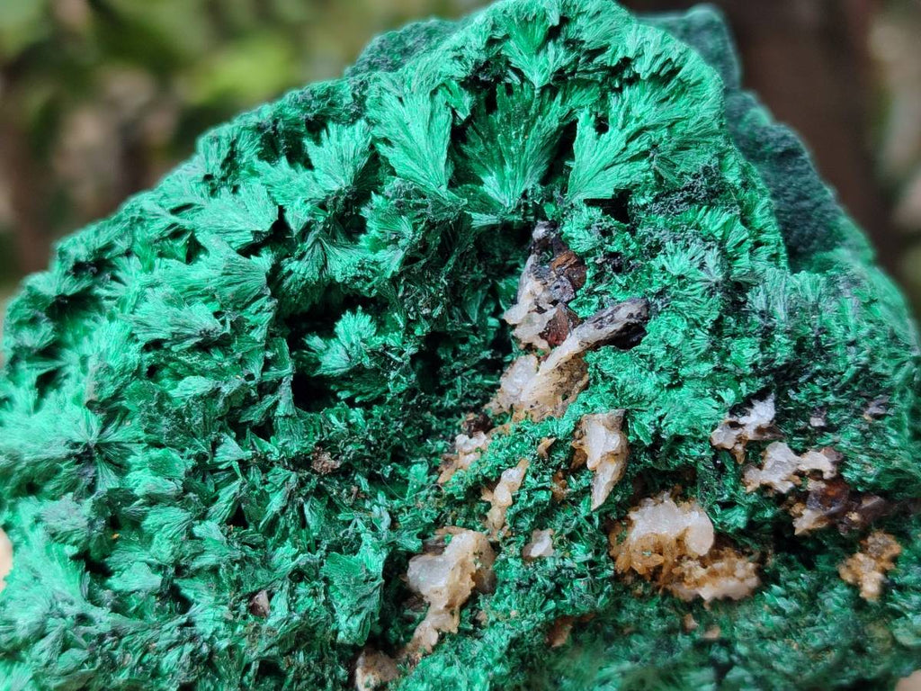 Natural Silky Malachite Specimens x 3 From Kasompe, Congo - Toprock Gemstones and Minerals 