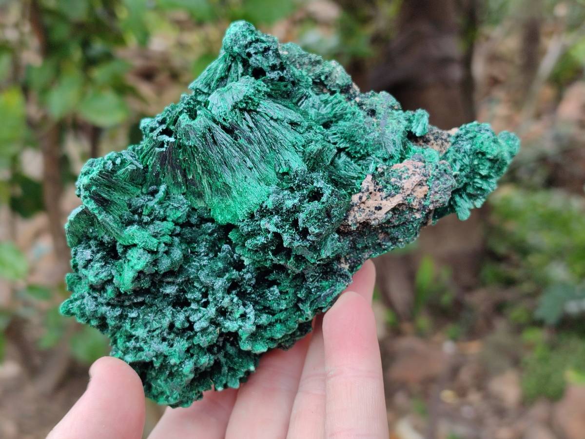 Natural Silky Malachite Specimens x 3 From Kasompe, Congo - Toprock Gemstones and Minerals 