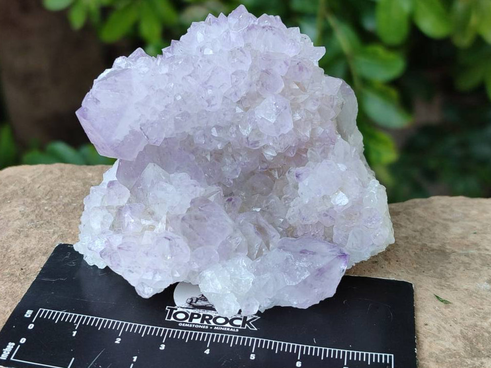 Natural Amethyst Spirit Quartz Clusters x 6 From Boekenhouthoek, South Africa - Toprock Gemstones and Minerals 