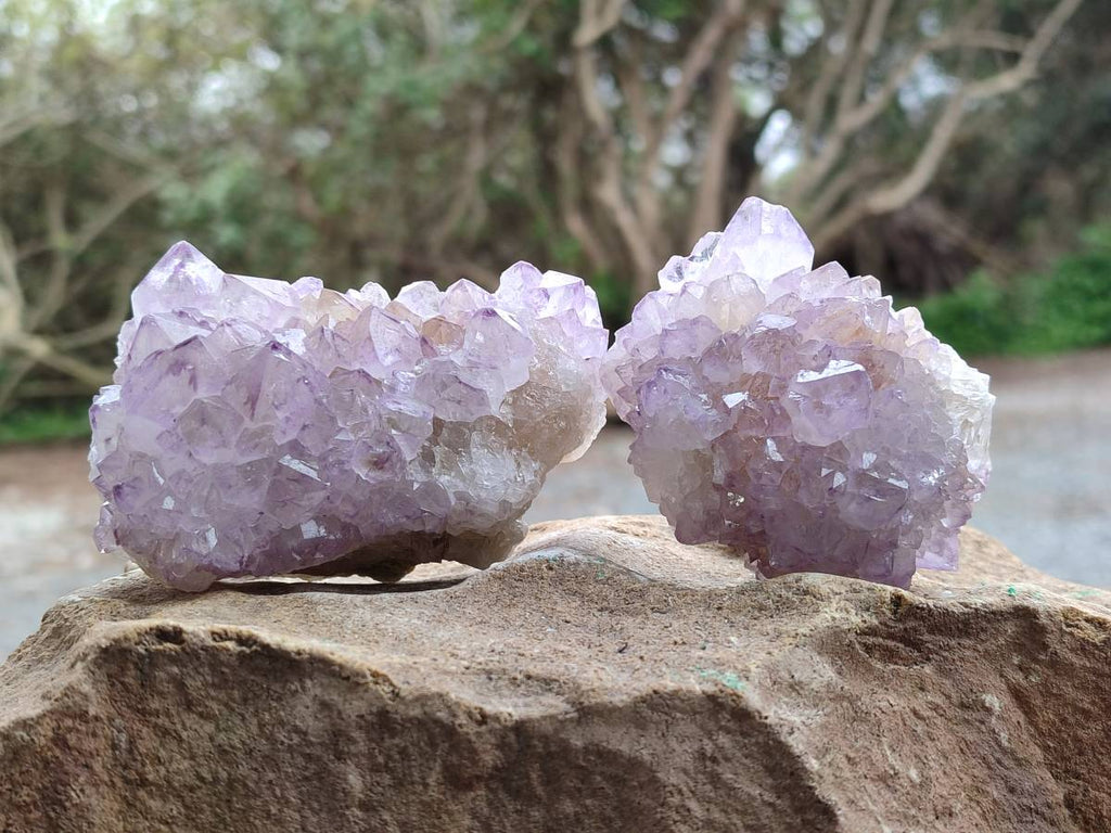 Natural Amethyst Spirit Quartz Clusters x 6 From Boekenhouthoek, South Africa - Toprock Gemstones and Minerals 