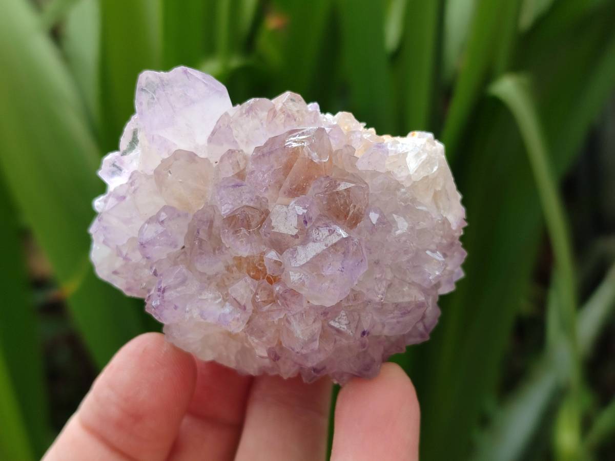 Natural Amethyst Spirit Quartz Clusters x 6 From Boekenhouthoek, South Africa - Toprock Gemstones and Minerals 
