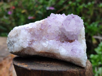 Natural Amethyst Spirit Quartz Clusters x 6 From Boekenhouthoek, South Africa