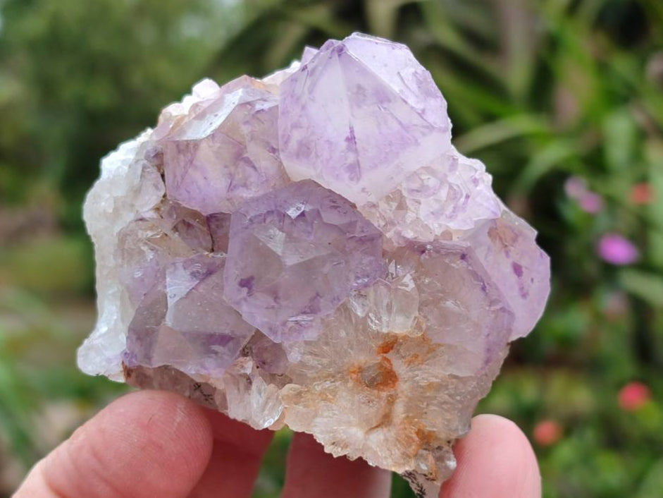 Natural Amethyst Spirit Quartz Clusters x 6 From Boekenhouthoek, South Africa - Toprock Gemstones and Minerals 