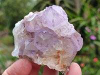 Natural Amethyst Spirit Quartz Clusters x 6 From Boekenhouthoek, South Africa