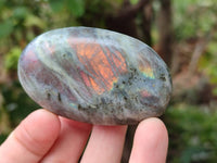 Polished Purple Flash Labradorite Galets x 12 From Tulear, Madagascar