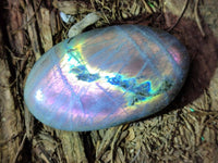 Polished Purple Flash Labradorite Galets x 12 From Tulear, Madagascar