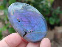 Polished Purple Flash Labradorite Galets x 12 From Tulear, Madagascar